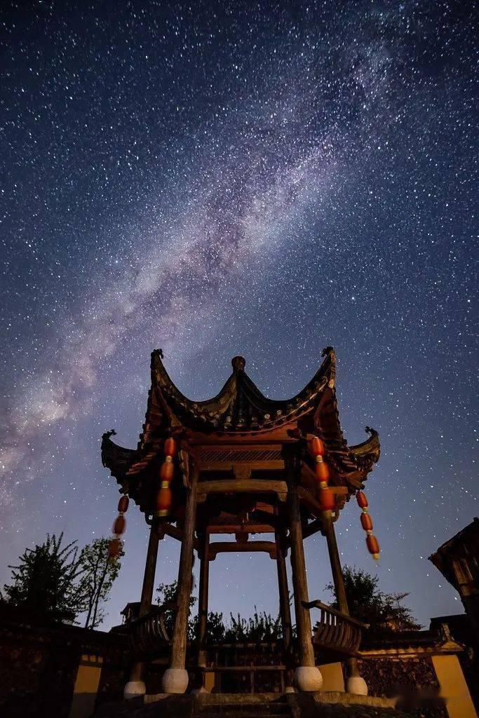 小犀牛救援