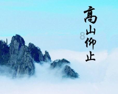 鹤壁示范区以主题教育成效助推文明城市创建提档升级